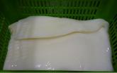 GIANT SQUID FILLETS